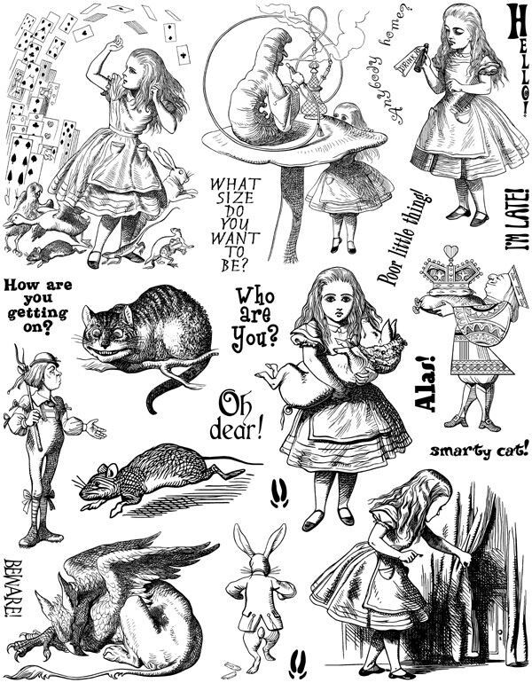 Libro Senda Herbal sobre herbolaria tradicional